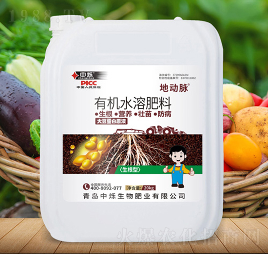 大豆蛋白原液-地動(dòng)脈-中爍生物