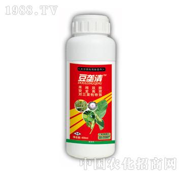 豆壟清-泰陽