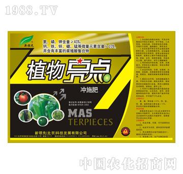 植物亮點沖施肥-標創(chuàng)