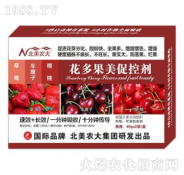 草莓、車?yán)遄印烟一ǘ喙来倏貏?北美農(nóng)大