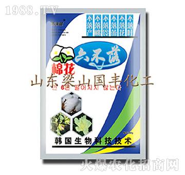 棉花六不落-梁山國(guó)豐