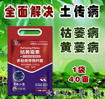 多粘類芽孢桿菌-枯黃霉素-中農(nóng)弘露