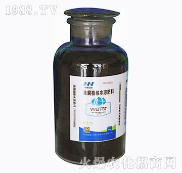 含腐殖酸水溶肥料-（瓶）-中誠(chéng)國(guó)聯(lián)