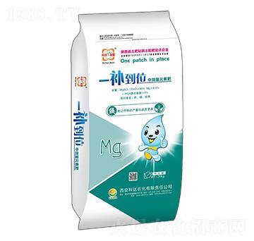 中微量元素肥-一補到位-達(dá)農(nóng)化