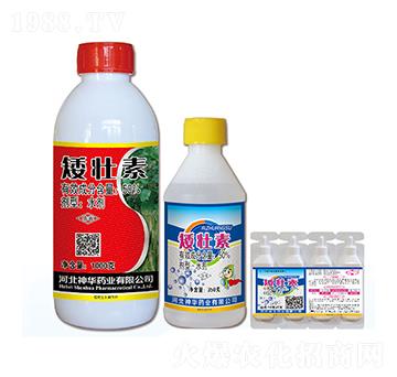 50%矮壯素-神華