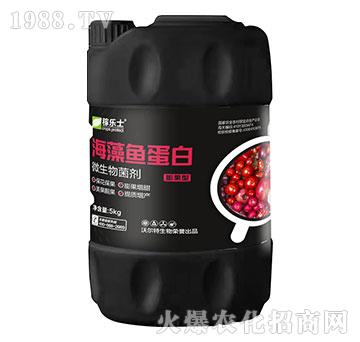 膨果型海藻魚蛋白-稼樂士