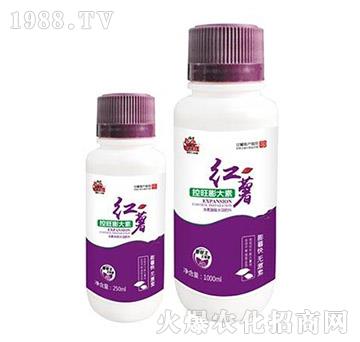 紅薯控旺膨大素-薯幫主-升華永樂(lè)