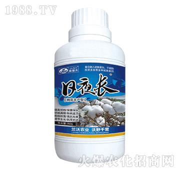 日夜長(zhǎng)（棉花豐產(chǎn)型）-蘭沃農(nóng)業(yè)