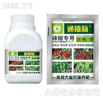 辣椒專(zhuān)用肥-通植脈-美邦科技