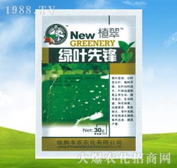 綠葉先鋒-植翠-豐農(nóng)農(nóng)化