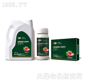 草莓專用含氨基酸水溶肥料-霸爾綠博
