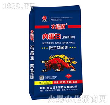 肉蛋白（營養(yǎng)蛋白型）-農(nóng)搭檔-巨豐源