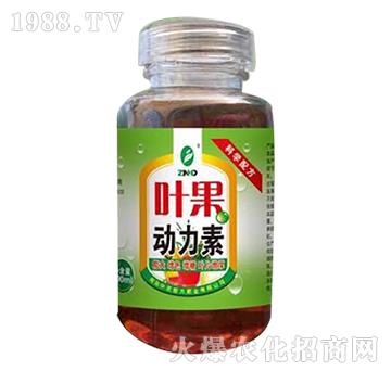 葉果動力素-中農恒大