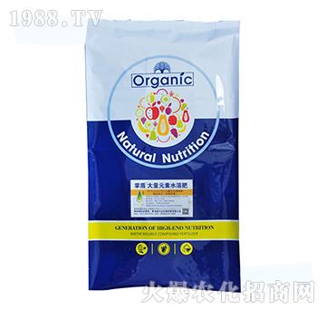 大量元素水溶肥（15-5-41.5）+TE-掌盾-威爾達
