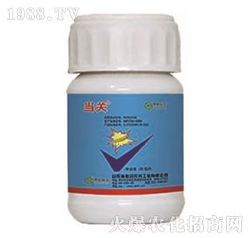 24%甲氧蟲酰肼+5%阿維菌素-當關(guān)-中農(nóng)聯(lián)合