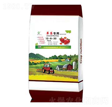 草莓專(zhuān)用水溶肥12-8-30-沃豐禾-堅(jiān)豐農(nóng)業(yè)