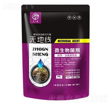 哈茨·淡紫紫孢菌-無(wú)地線(xiàn)-中圣農(nóng)業(yè)
