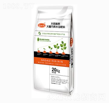 20kg平衡型大量元素水溶肥19-19-19+TE-大微菌素-金必來(lái)