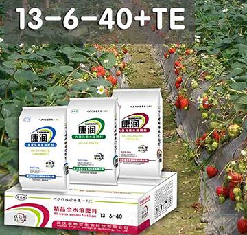 康潤大量元素水溶肥13-6-40+TE-賽格爾