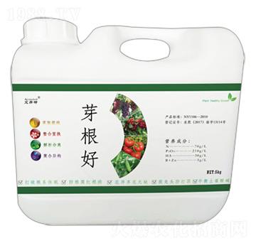 芽根好-艾昂特