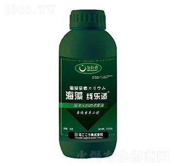 海藻線樂適-?？破? width=