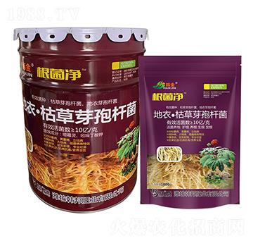 地衣·枯草芽孢桿菌-根菌凈-韓金-韓邦肥業(yè)
