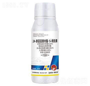 24-表蕓苔素內酯·S-誘抗素可溶液劑100g-及時創(chuàng)·雨狀元-及時雨