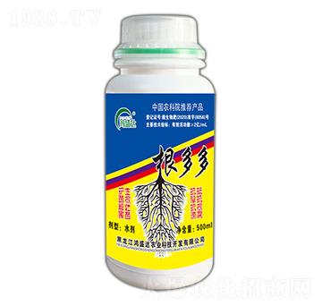 根多多-鴻盛達