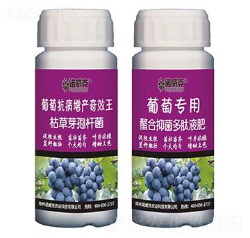 葡萄抗病增產(chǎn)奇效王+螯合抑菌多肽液肥-諾威克