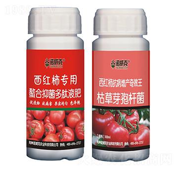 西紅柿專用螯合抑菌多肽液肥+西紅柿抗病增產(chǎn)奇效王-諾威克
