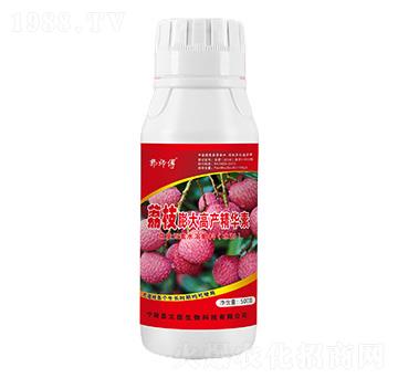 荔枝膨大高產精華素-郭師傅-立信生物