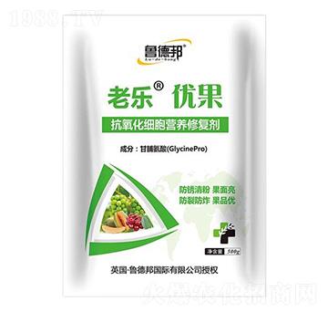500g抗氧化細(xì)胞營(yíng)養(yǎng)修復(fù)劑-老樂(lè)優(yōu)果-魯?shù)掳? />
                                </div>
                            </div>
                            
                            <style type=