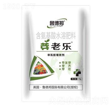 含氨基酸水溶肥料-芽老樂-魯?shù)掳? />
                                </div>
                            </div>
                            
                            <style type=