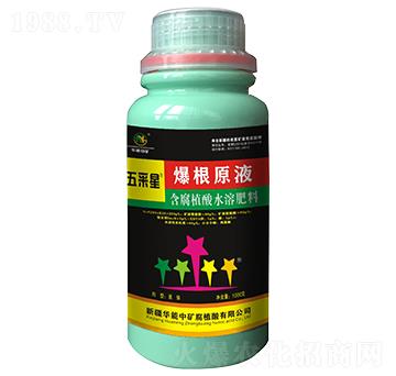 爆根原液-五采星-華能中礦