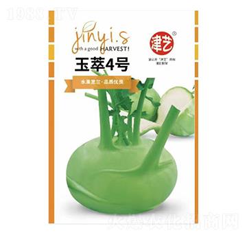 玉萃4號-邯豐農(nóng)業(yè)
