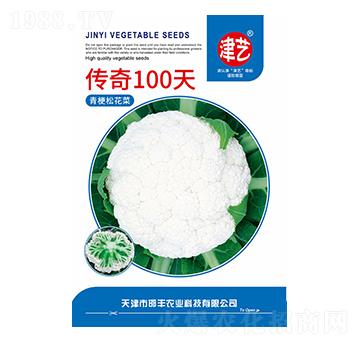 青梗松花菜種子-傳奇100天-邯豐農(nóng)業(yè)