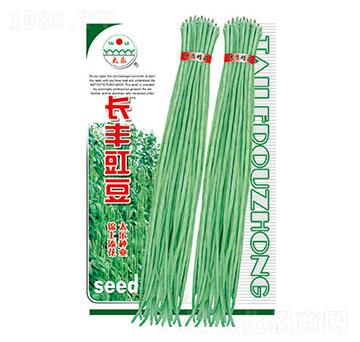 豇豆種子-長豐豇豆-太樂種業(yè)