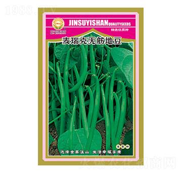 豇豆種子-麥瑞克無筋地豆-太樂種業(yè)