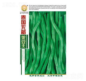 豇豆種子-泰國(guó)無(wú)筋架豆王-太樂(lè)種業(yè)