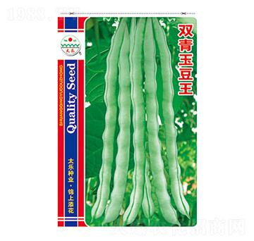 豇豆種子-雙青玉豆王-太樂(lè)種業(yè)