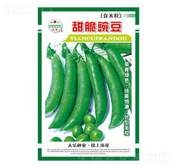 豌豆種子-甜脆豌豆-太樂種業(yè)
