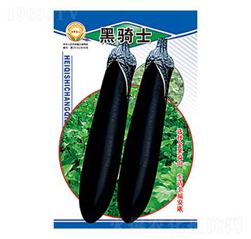 茄子種子-黑騎士-太樂(lè)種業(yè)