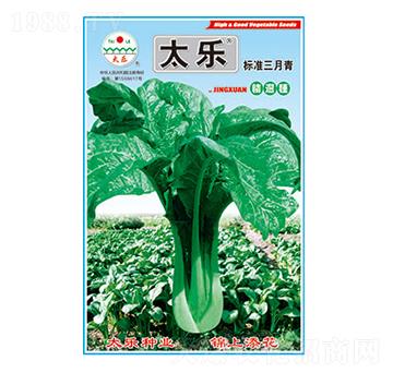 青菜種子-標(biāo)準(zhǔn)三月青-太樂(lè)種業(yè)