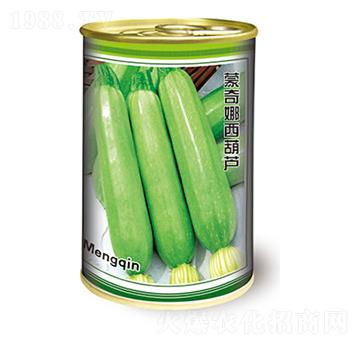 西葫蘆種子-蒙奇娜西葫蘆-太樂(lè)種業(yè)