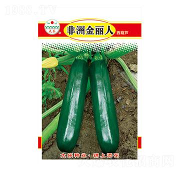 西葫蘆種子-非洲金麗人-太樂種業(yè)