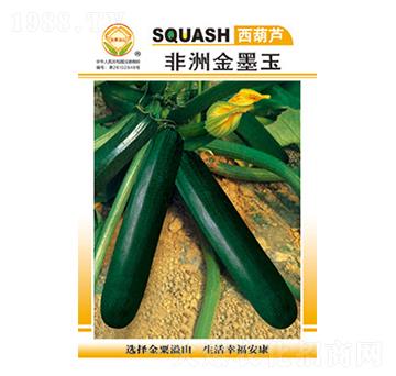 西葫蘆種子-非洲金墨王-太樂種業(yè)